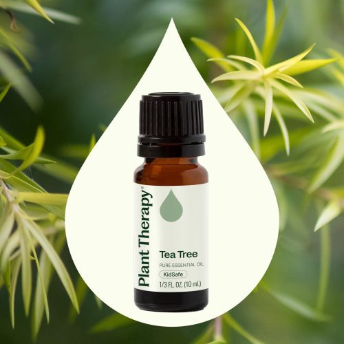 plant therapy tea tree essential oil 788749