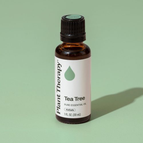 plant therapy tea tree essential oil 940078