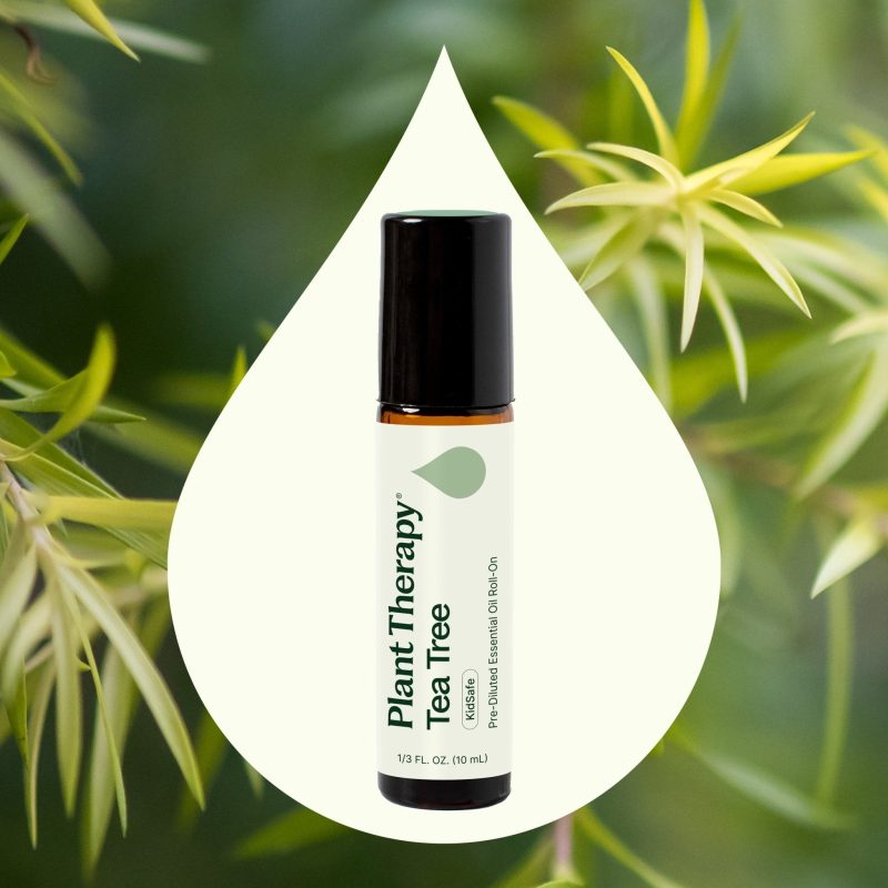 plant therapy tea tree essential oil pre diluted roll on 310711