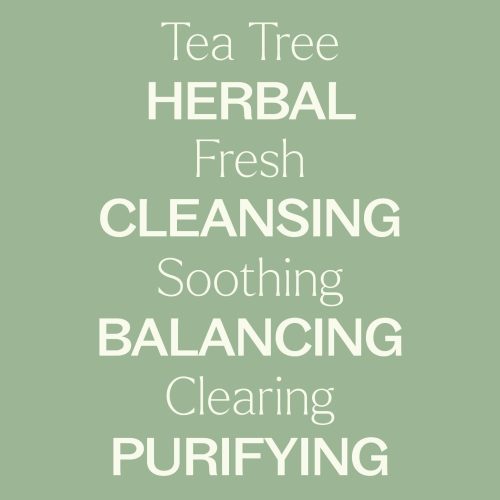 plant therapy tea tree hydrosol 487407