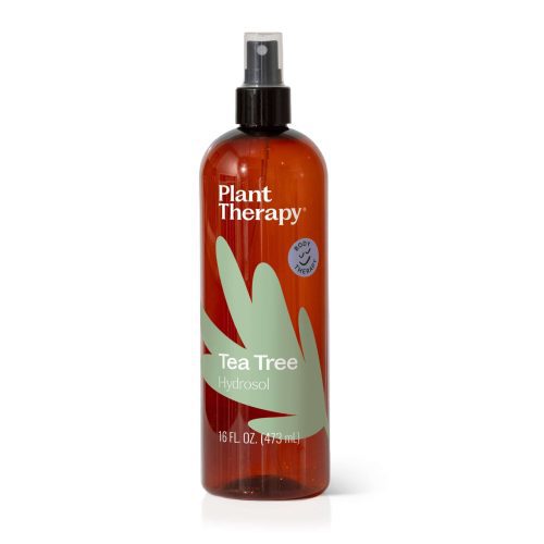 Plant Therapy Tea Tree Hydrosol