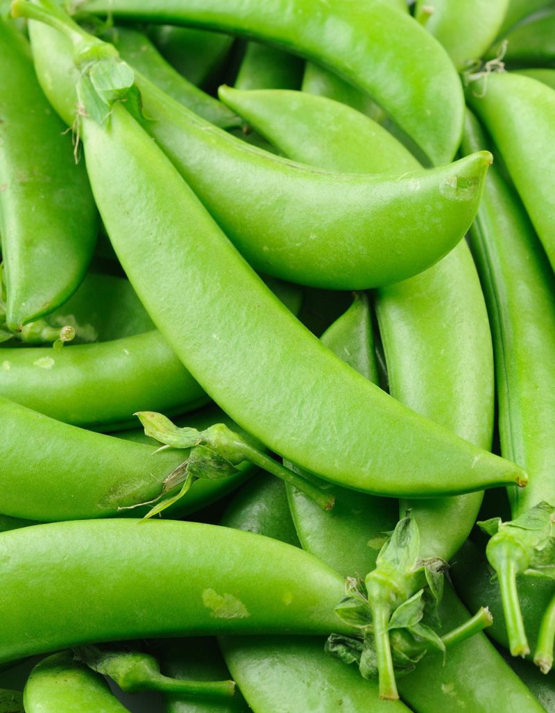 pure indian foods organic sugar daddy snap pea seeds 391182