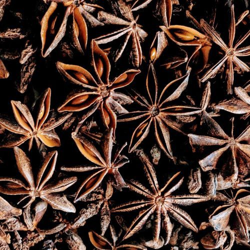 pure indian foods star anise whole certified organic 08 oz 260659