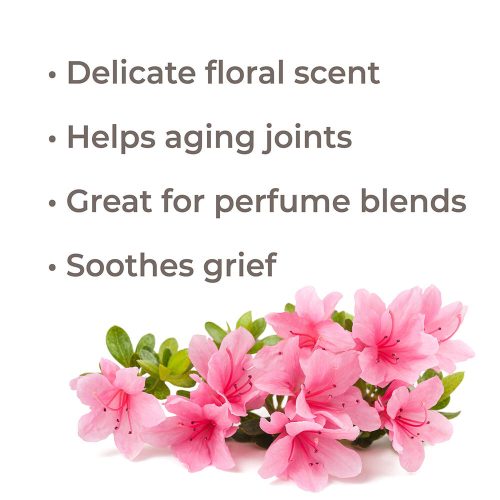 rhododendron benefits