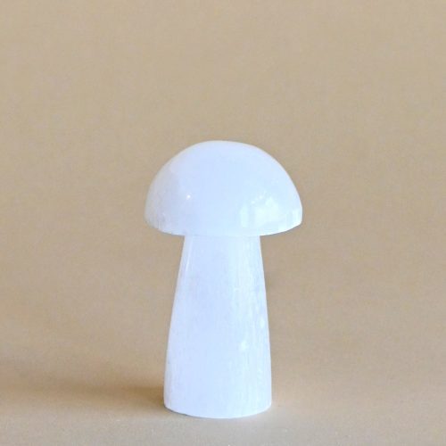 selenite mushroom 1657