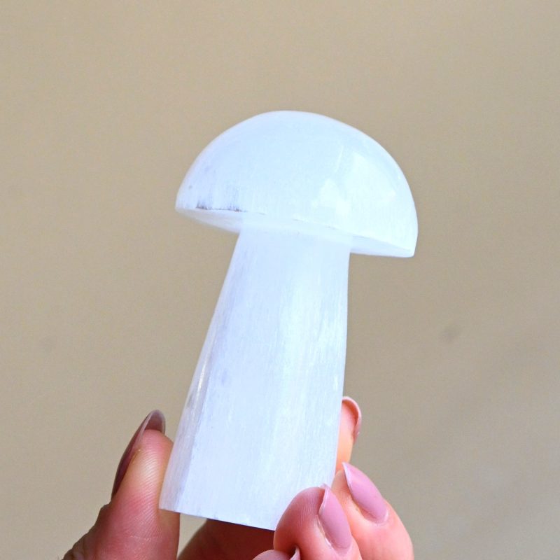 selenite mushroom 1658