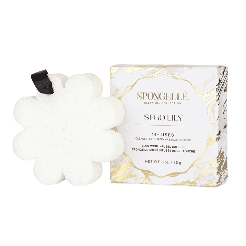 spongelle sego lily elevation boxed flower 542459