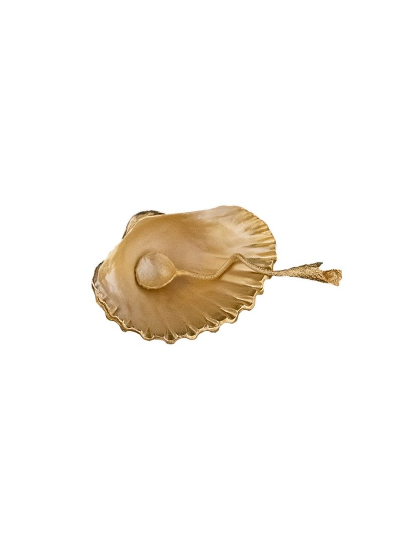 Weston Table Seashell Salt Dish