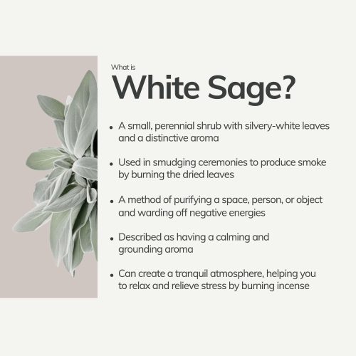 what is white sage a